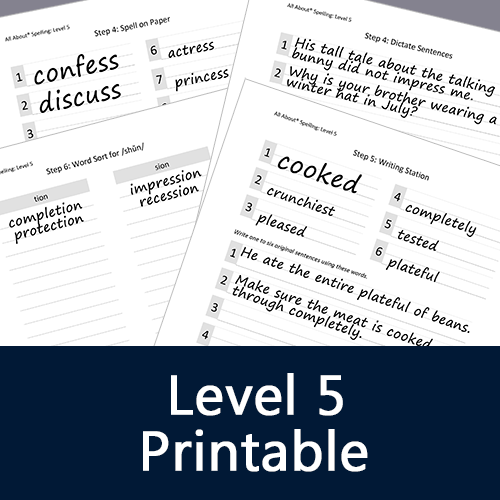 All About Spelling: Optional Worksheets for Level 5